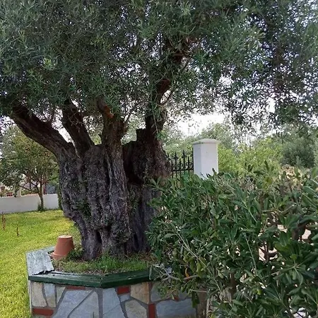 Olive Tree Villa Nea Poteidaia Exterior photo