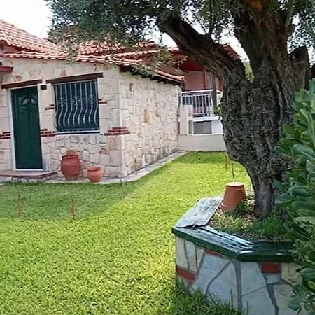Olive Tree Villa Nea Poteidaia Exterior photo